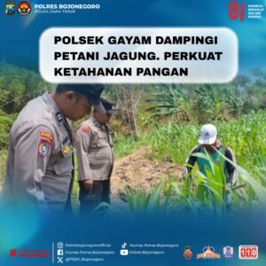 Polsek Gayam Dampingi Petani Jagung, Perkuat Ketahanan Pangan dari Tingkat Desa